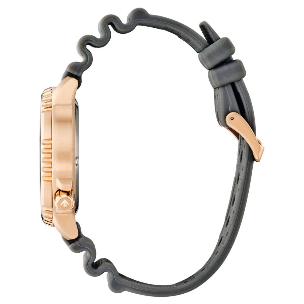 Citizen Promaster Diver Solar Watch